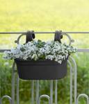 green basics facile à accrocher large living noir